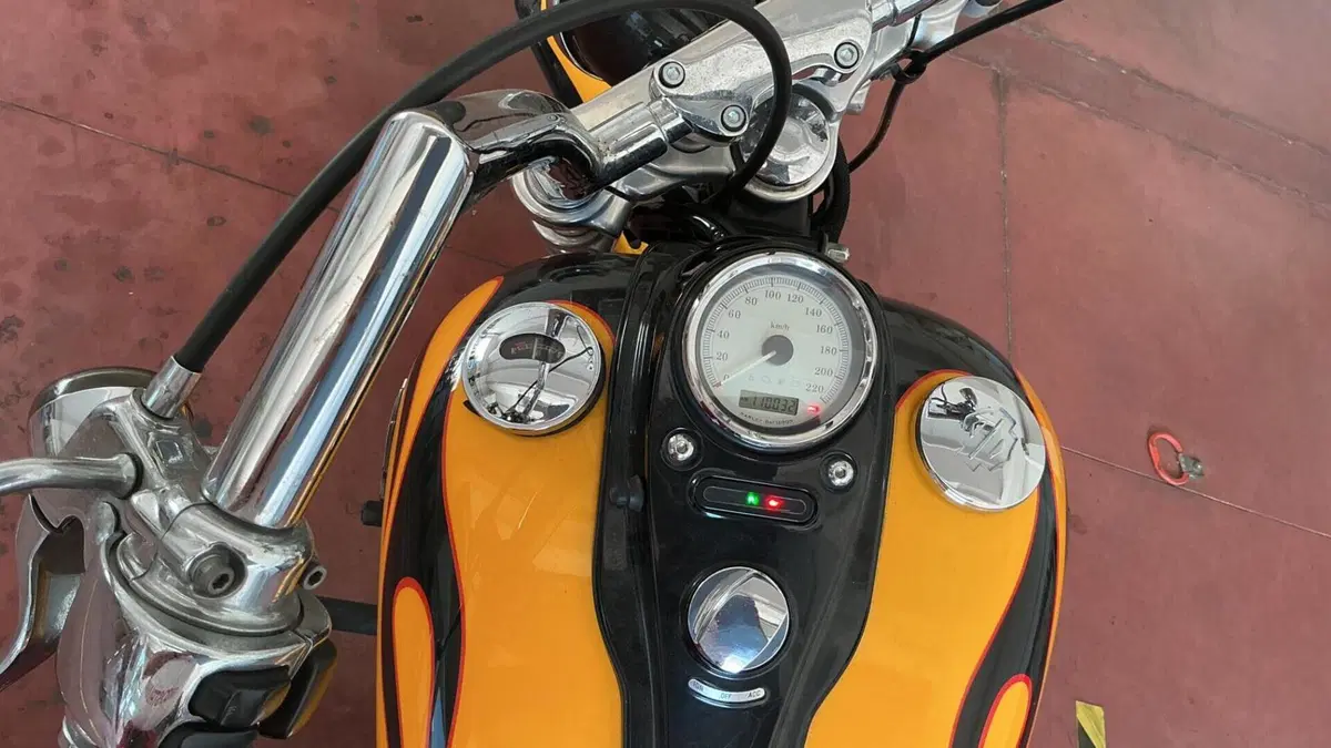 Harley-Davidson 1584 Wide Glide (2007 - 11) - FXDWG  (2)