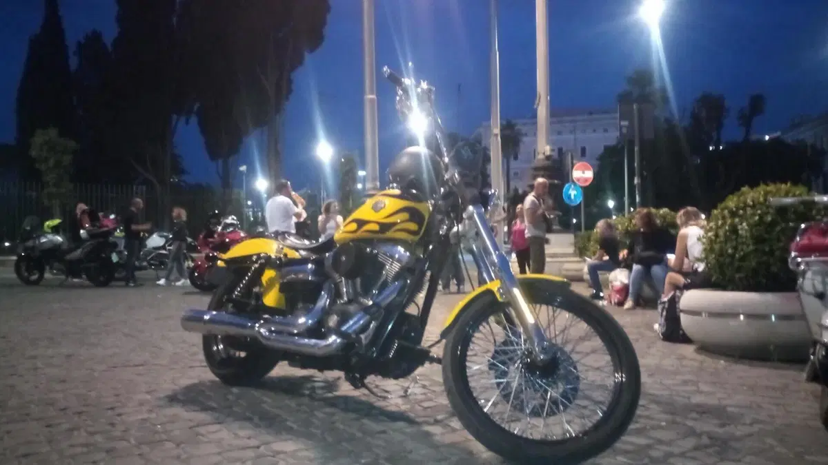 Harley-Davidson 1584 Wide Glide (2007 - 11) - FXDWG 