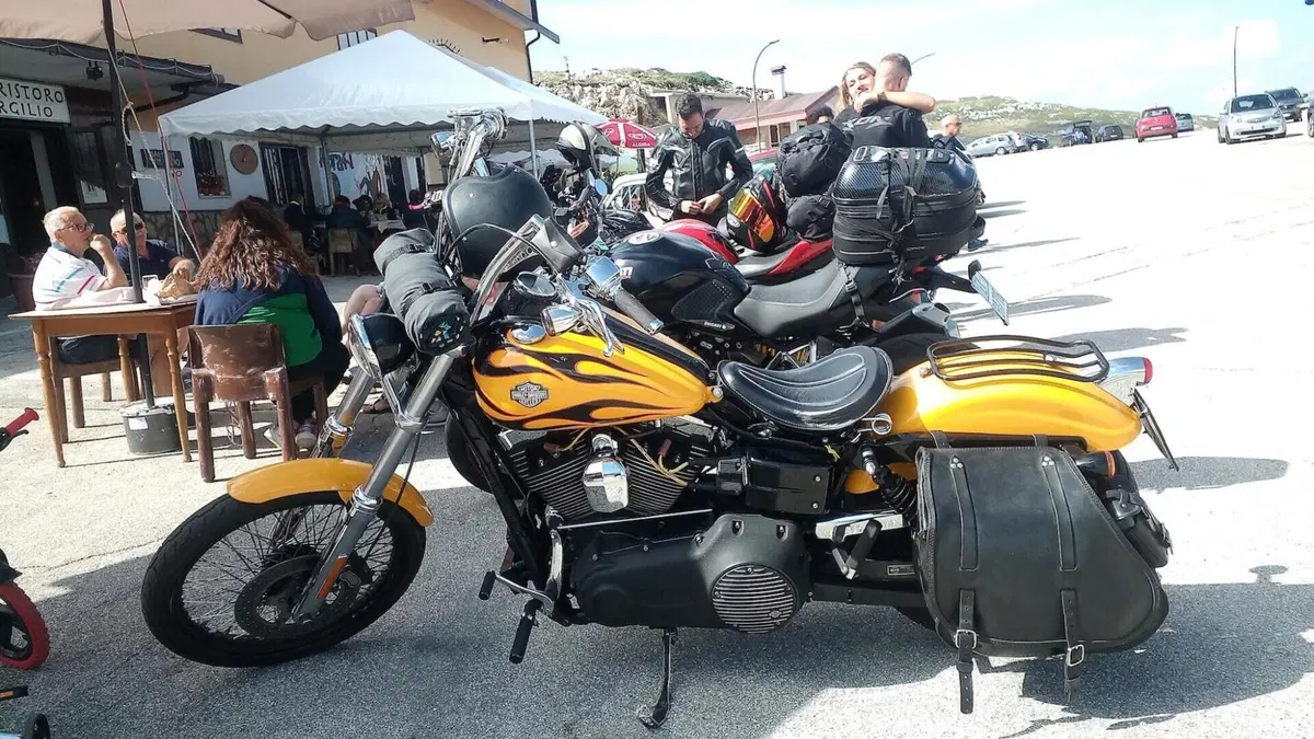 Harley-Davidson 1584 Wide Glide (2007 - 11) - FXDWG  (3)