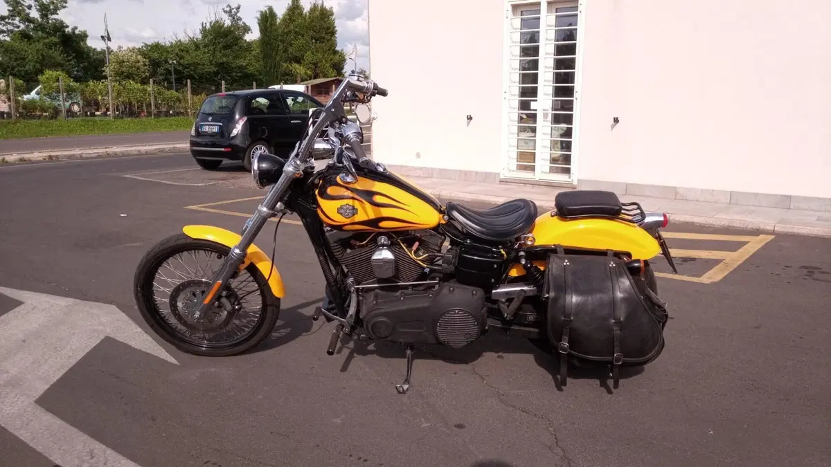 Harley-Davidson 1584 Wide Glide (2007 - 11) - FXDWG  (5)