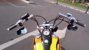 Harley-Davidson 1584 Wide Glide (2007 - 11) - FXDWG  (6)