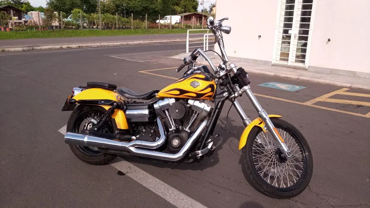 Harley-Davidson 1584 Wide Glide (2007 - 11) - FXDWG  (7)
