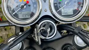 Triumph Bonneville T100 (2021 - 25) 