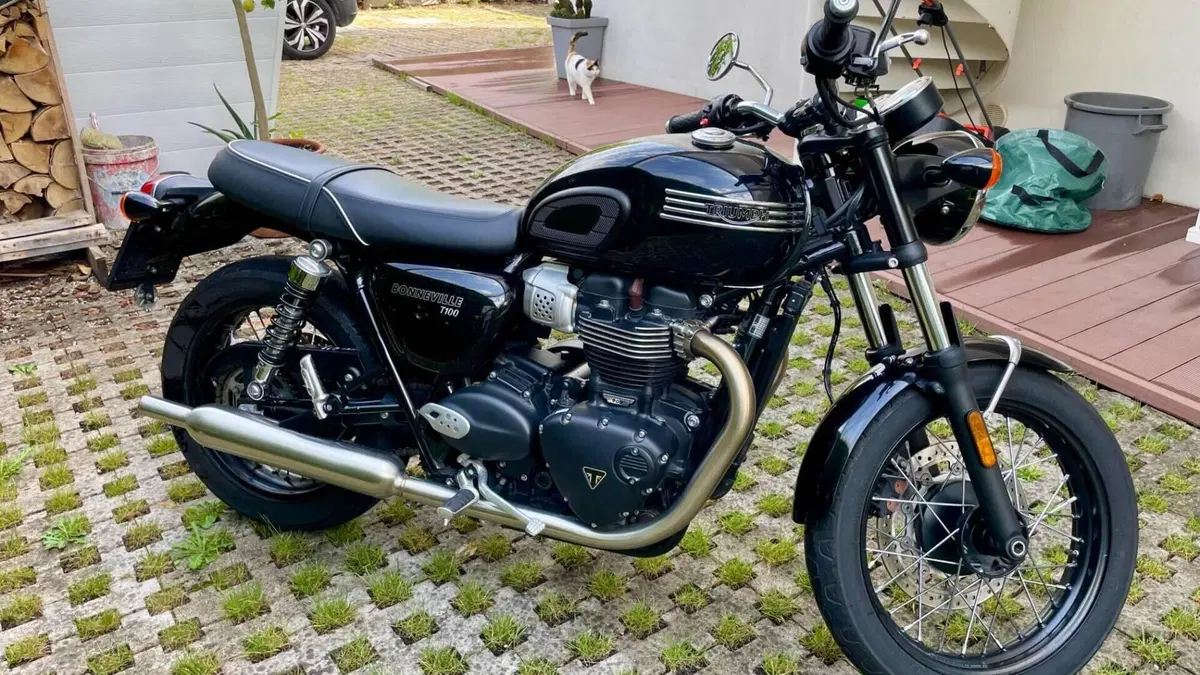 Triumph Bonneville T100 (2021 - 25)  (3)