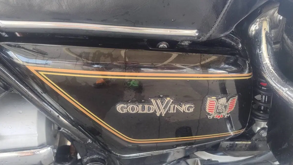 Honda GL 1100 Gold Wing (1980 - 83)  (10)