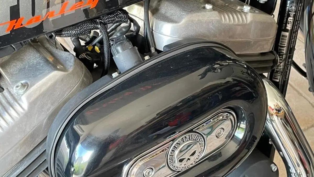 Harley-Davidson 1200 Forty-Eight (2010 - 15)  (4)