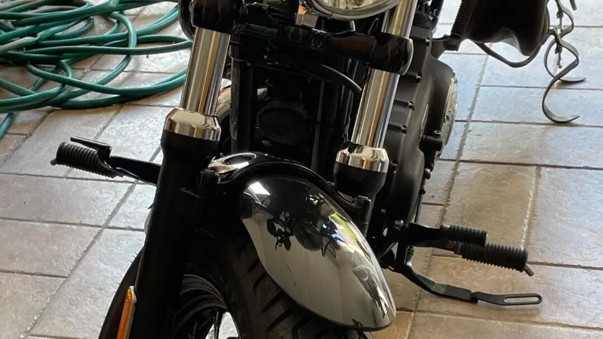 Harley-Davidson 1200 Forty-Eight (2010 - 15)  (10)