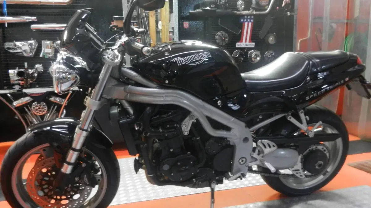 Triumph Speed Triple 955 (1998 - 01)  (3)