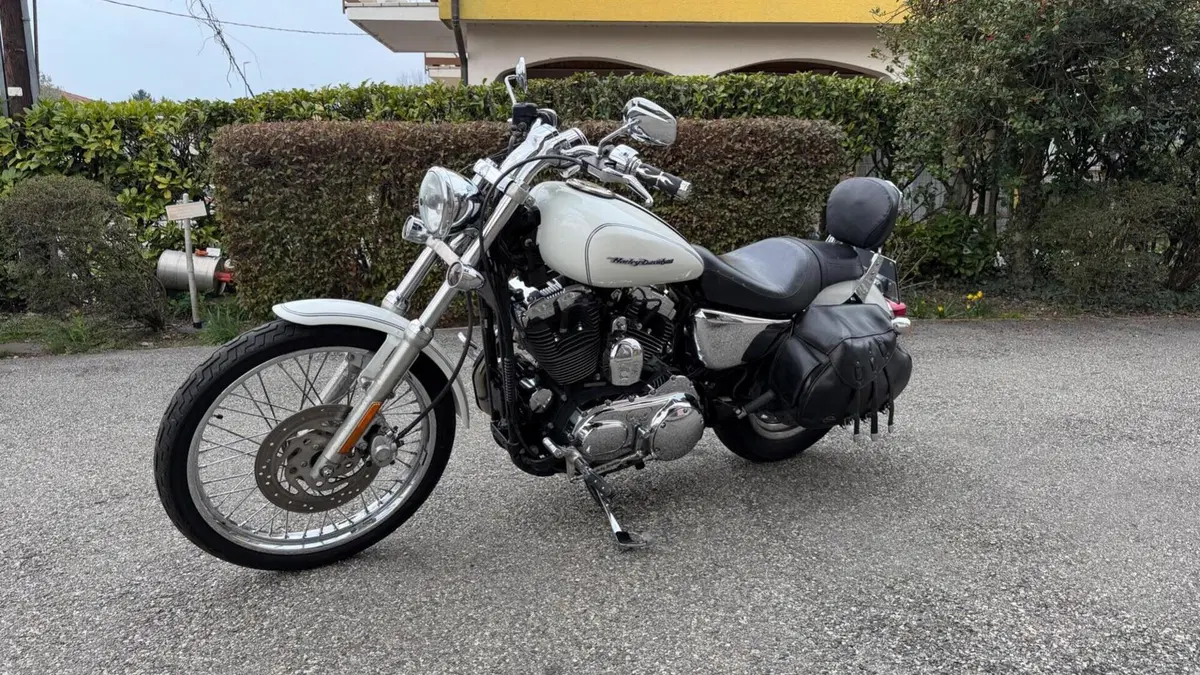 Harley-Davidson 1200 Custom (2004 - 06) - XL 1200C 