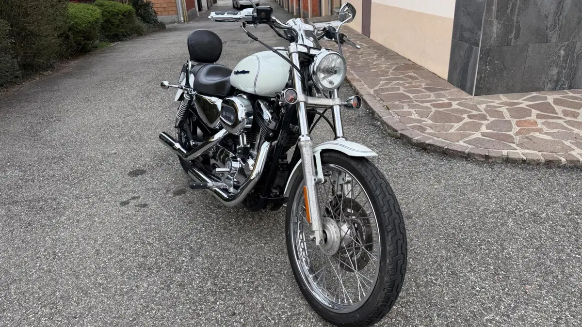 Harley-Davidson 1200 Custom (2004 - 06) - XL 1200C  (2)