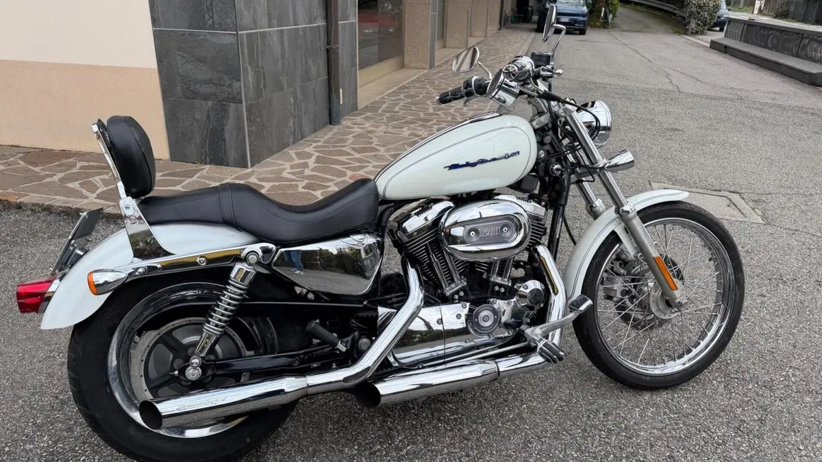 Harley-Davidson 1200 Custom (2004 - 06) - XL 1200C  (3)