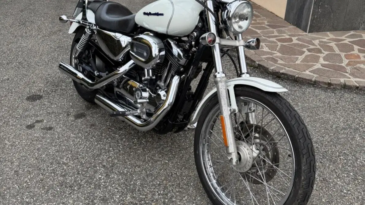 Harley-Davidson 1200 Custom (2004 - 06) - XL 1200C  (5)