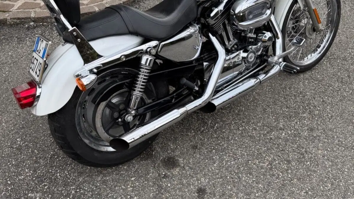Harley-Davidson 1200 Custom (2004 - 06) - XL 1200C  (6)