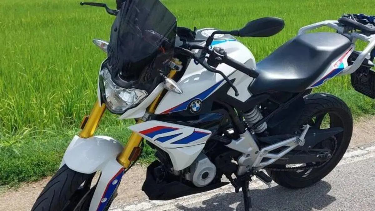 Bmw G 310 R (2016 - 20)  (2)