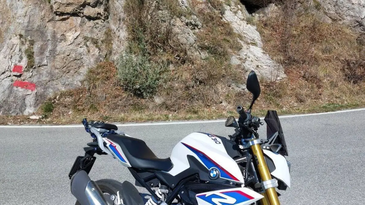 Bmw G 310 R (2016 - 20)  (3)