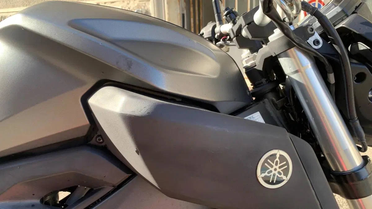 Yamaha MT-125 (2014 - 16)  (8)