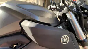 Yamaha MT-125 (2014 - 16)  (8)