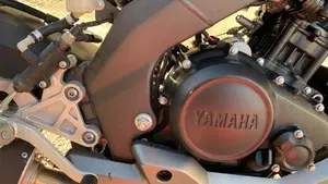 Yamaha MT-125 (2014 - 16)  (9)