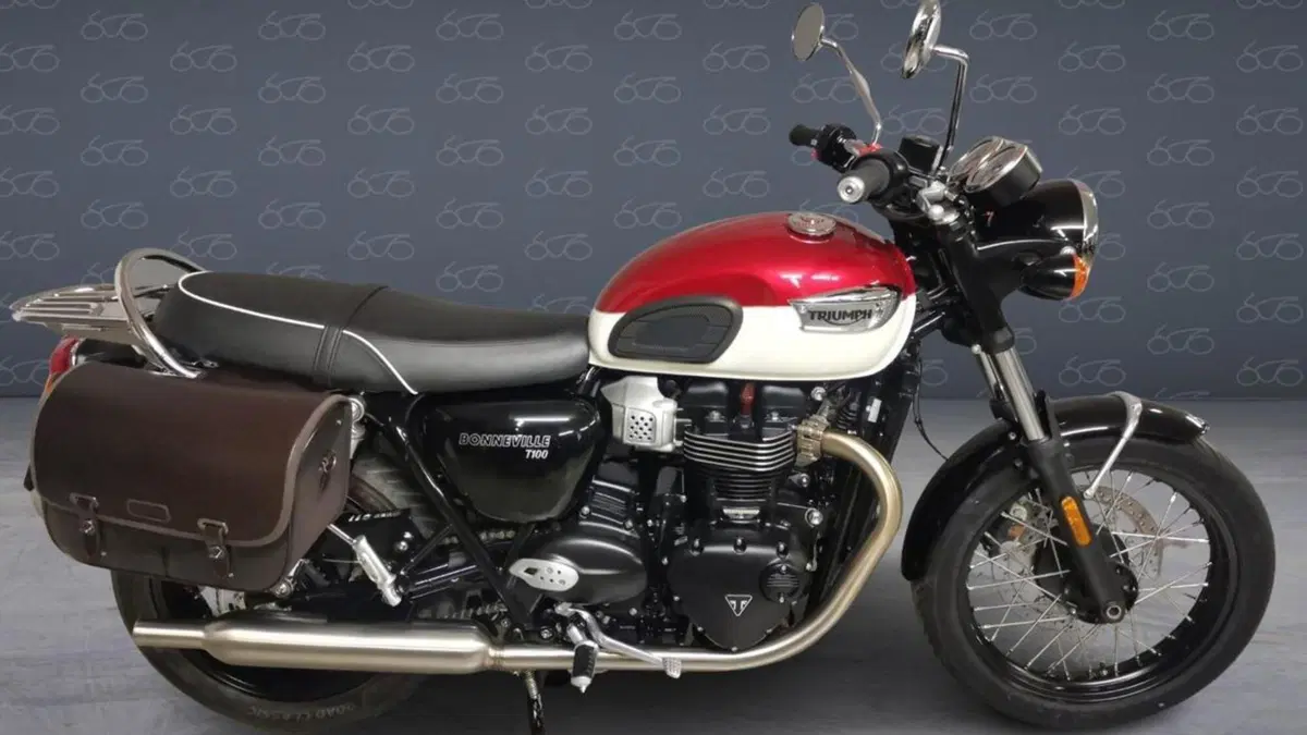 Triumph Bonneville T100 (2021 - 25) 