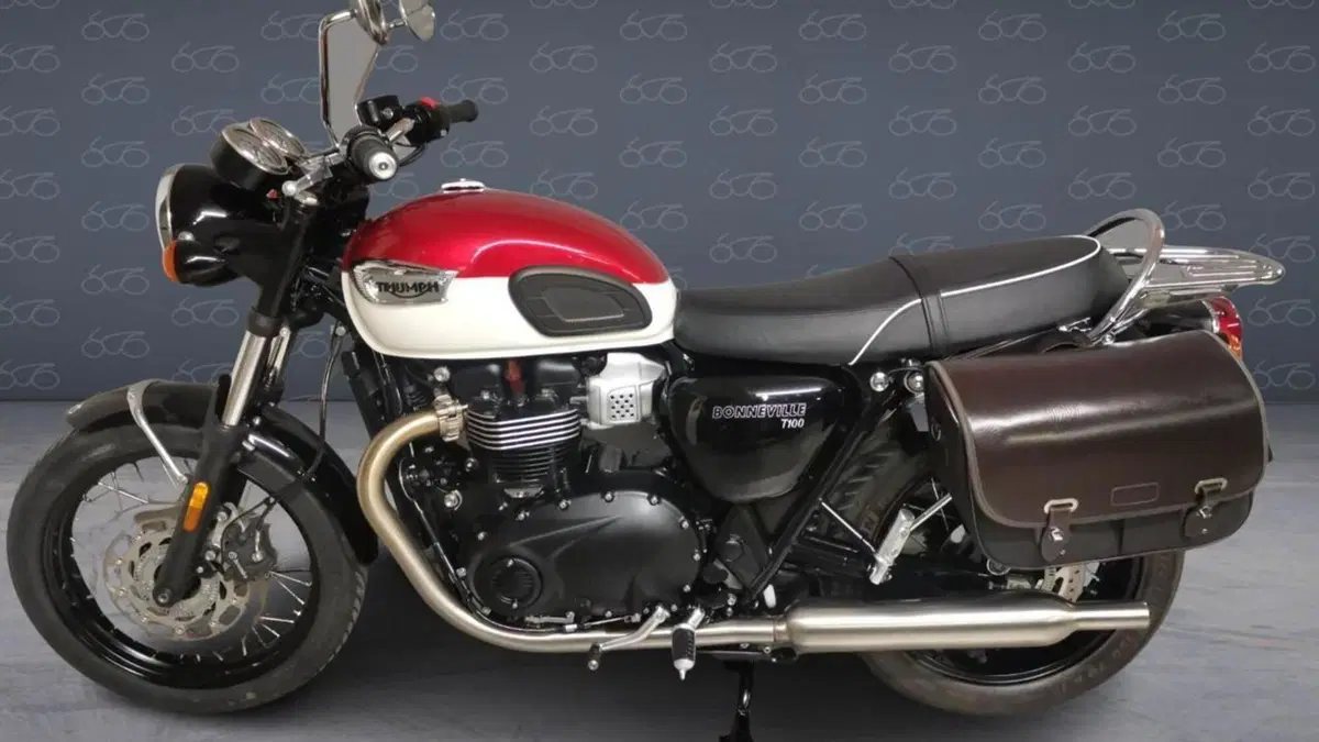 Triumph Bonneville T100 (2021 - 25)  (2)
