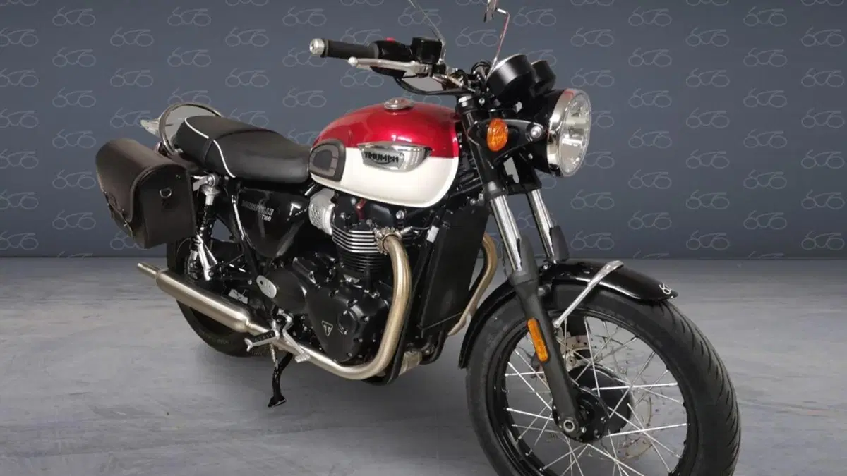 Triumph Bonneville T100 (2021 - 25)  (5)