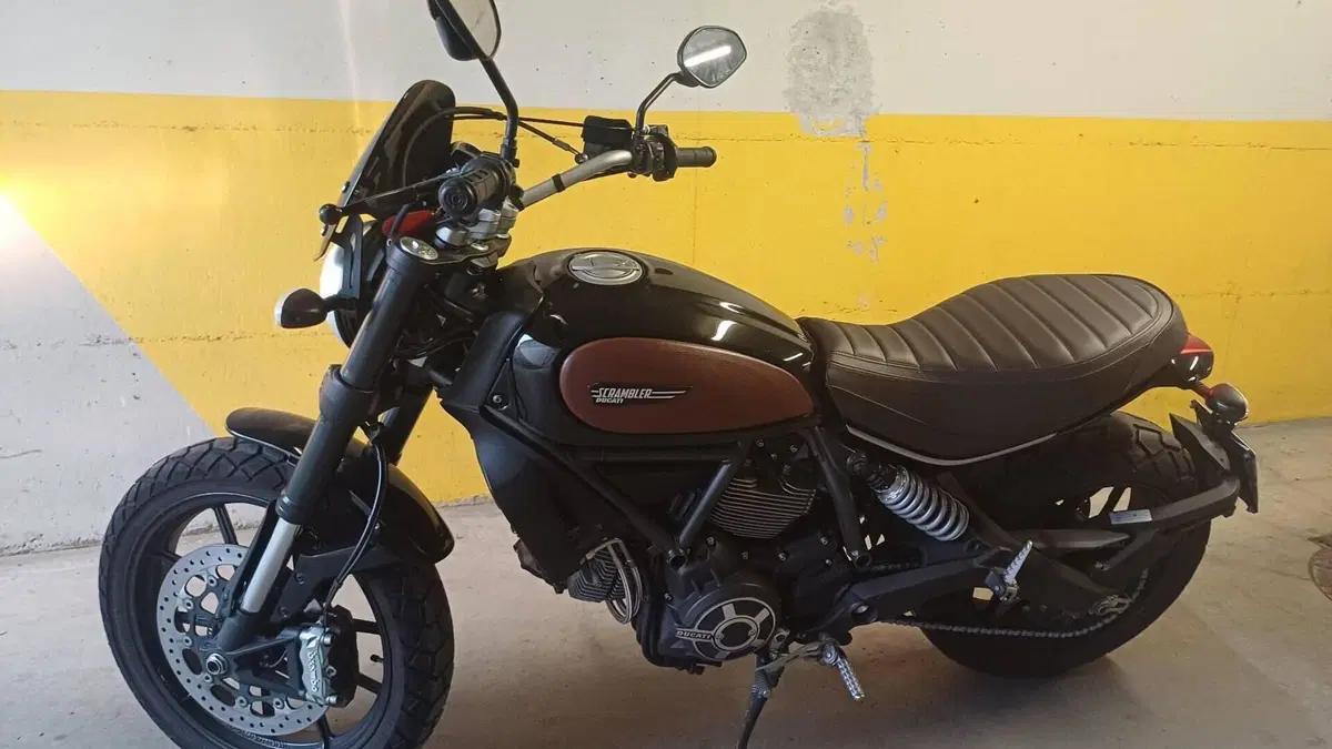 Ducati Scrambler 800 Icon (2015 - 16)  (2)