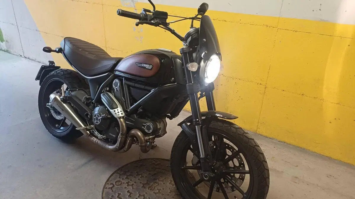Ducati Scrambler 800 Icon (2015 - 16)  (5)