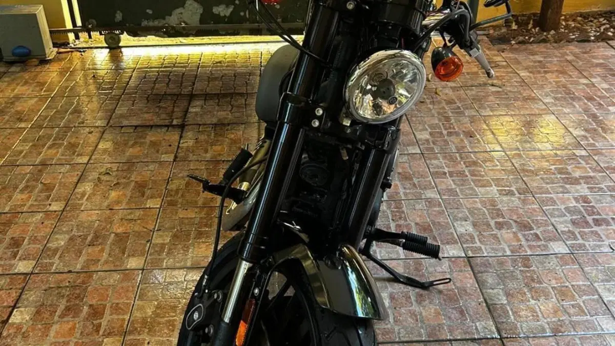 Harley-Davidson 1200 Roadster (2017 - 20) - XL 1200R  (4)