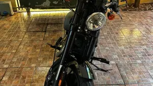 Harley-Davidson 1200 Roadster (2017 - 20) - XL 1200R  (4)