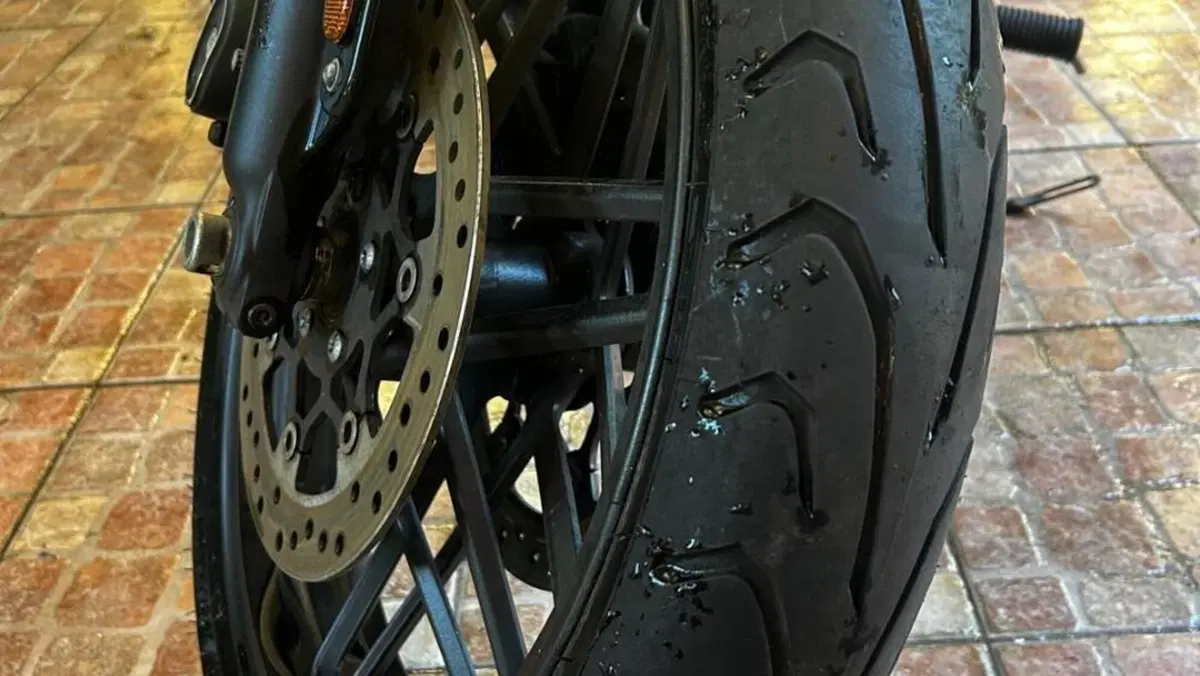 Harley-Davidson 1200 Roadster (2017 - 20) - XL 1200R  (5)