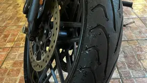 Harley-Davidson 1200 Roadster (2017 - 20) - XL 1200R  (5)