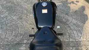 Suzuki Marauder GZ 250  (10)