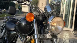 Suzuki Marauder GZ 250  (14)