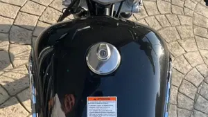 Suzuki Marauder GZ 250  (16)