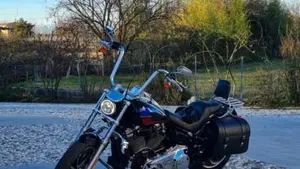 Harley-Davidson 107 Low Rider (2018 - 20) - FXLR  (18)