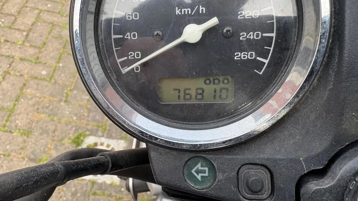 Honda Hornet 900  (5)