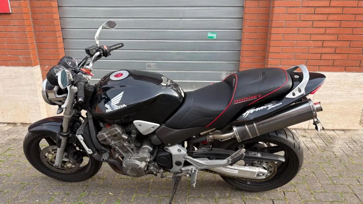 Honda Hornet 900  (6)
