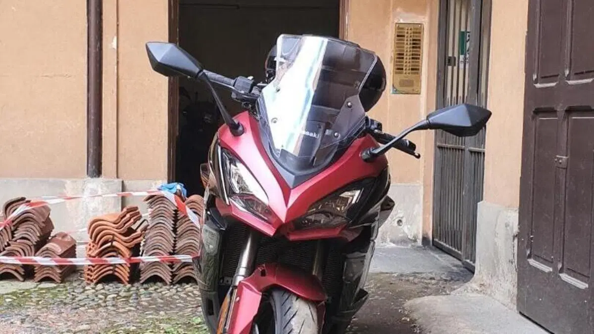 Kawasaki Ninja 1000 SX (2021 - 24)  (3)