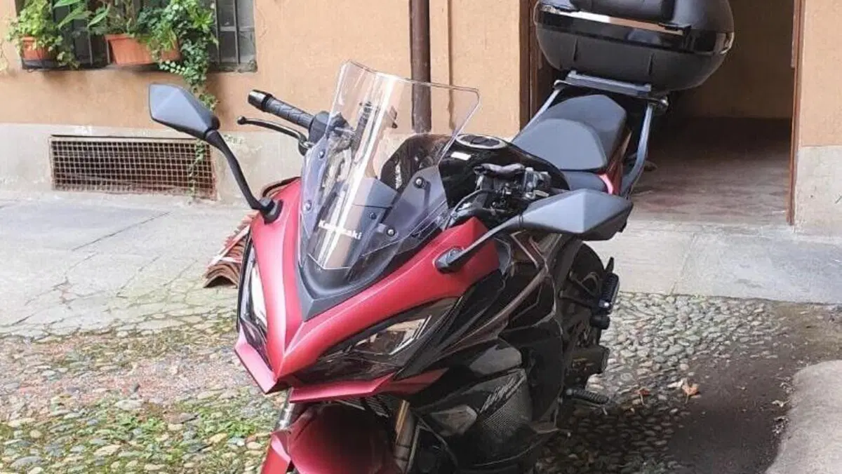 Kawasaki Ninja 1000 SX (2021 - 24)  (4)