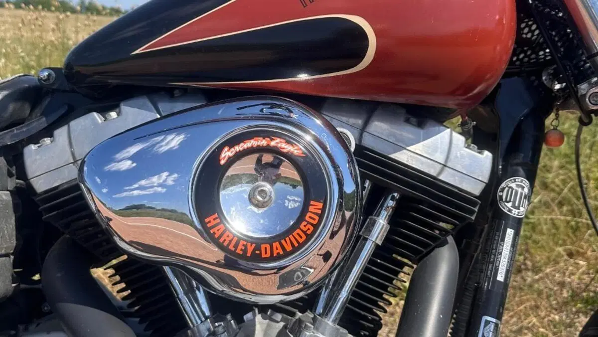 Harley-Davidson 1584 Street Bob (2008 - 15) - FXDB  (4)