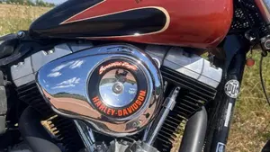 Harley-Davidson 1584 Street Bob (2008 - 15) - FXDB  (4)