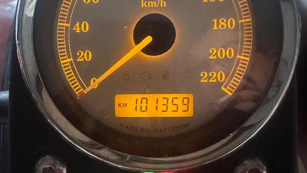 Harley-Davidson 1584 Street Bob (2008 - 15) - FXDB  (7)