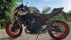 Kawasaki Z 650 (2021 - 24)  (2)