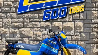 Yamaha XT 600 (1984 - 98) usata