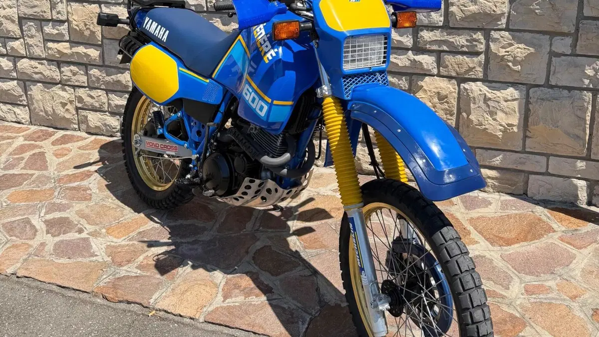 Yamaha XT 600 (1984 - 98)  (6)