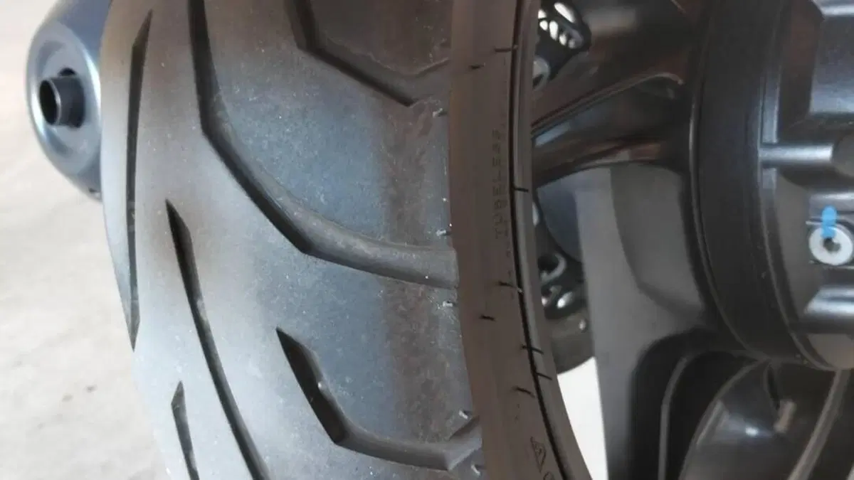 Moto Guzzi V7 Stone (2021 - 24)  (4)