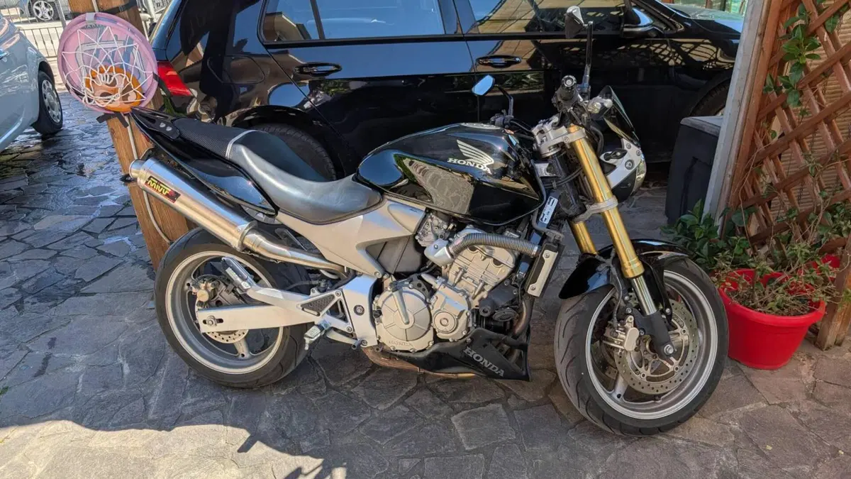 Honda Hornet 600 (2005 - 06) 