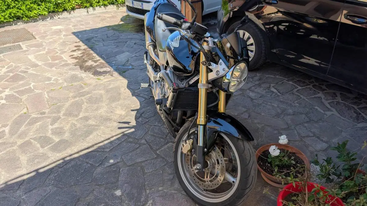 Honda Hornet 600 (2005 - 06)  (2)