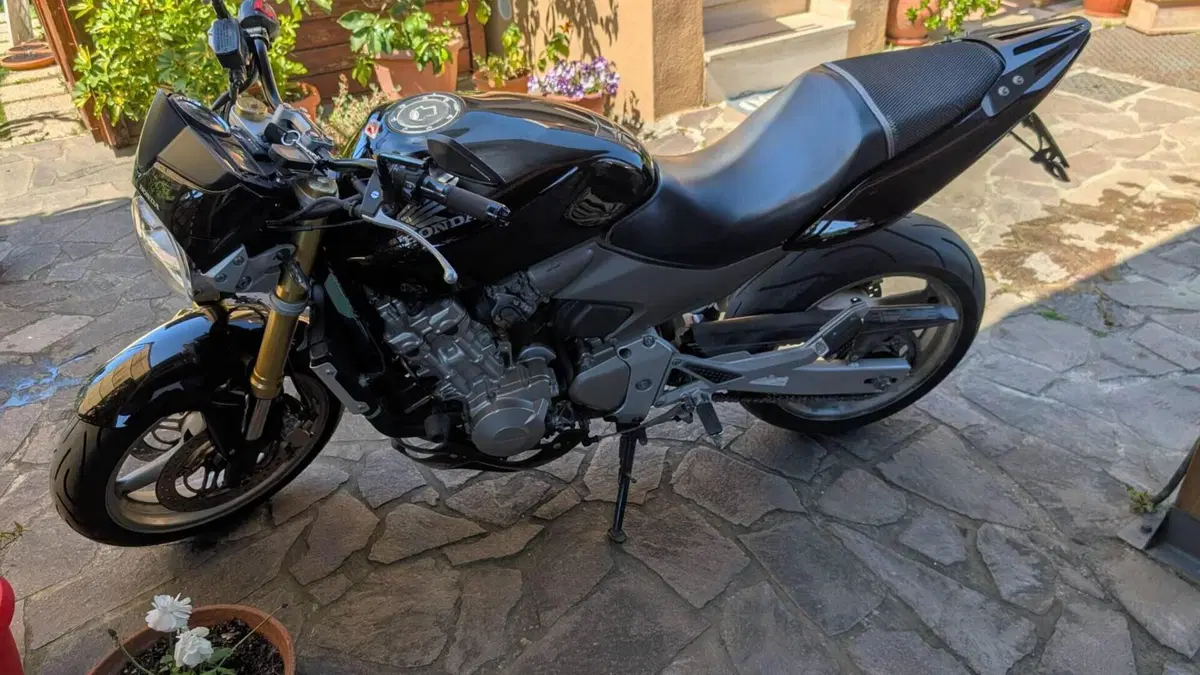 Honda Hornet 600 (2005 - 06)  (3)
