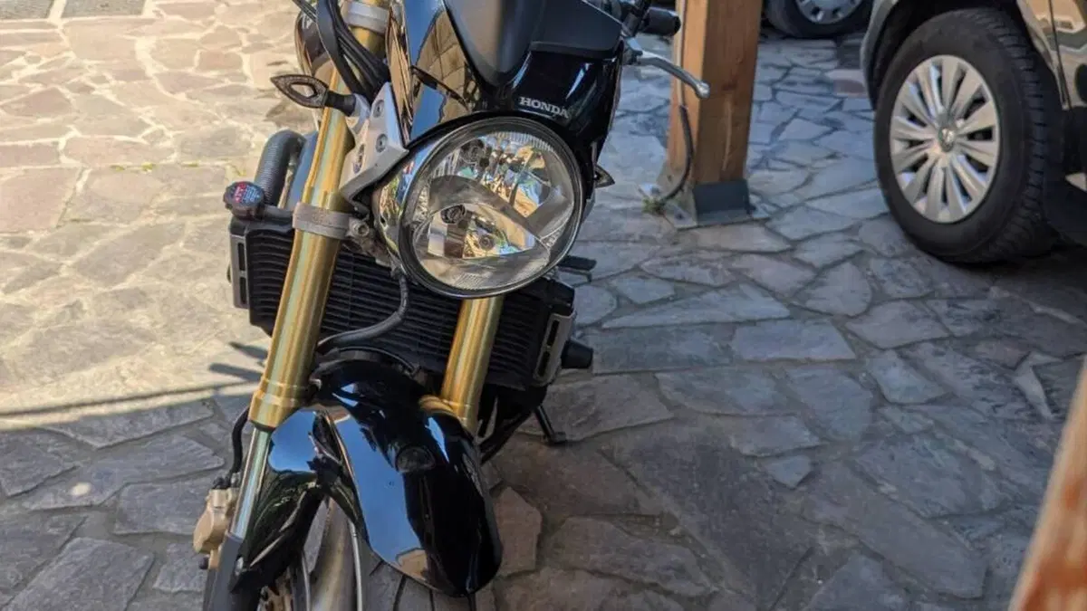 Honda Hornet 600 (2005 - 06)  (4)